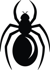 spider on a white background