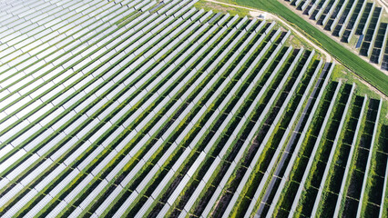 Solar panels capturing sunlight in large solar farm, renewable energy concept