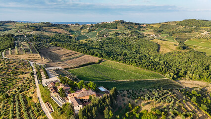 Scenic Tuscan Landscape with Olive Groves and Vineyards at Golden Hour – Idyllic Countryside in Italy