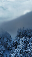 winter mountain landscape with snow, fog and cloud covered trees and skies