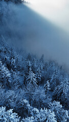 winter mountain landscape with snow, fog and cloud covered trees and skies