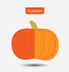 pumpkin, vegetables vector illustration