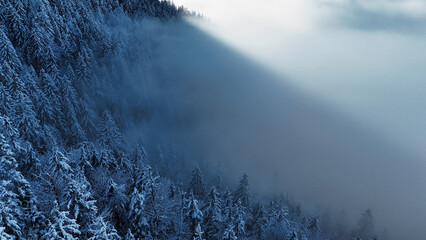 winter mountain landscape with snow, fog and cloud covered trees and skies