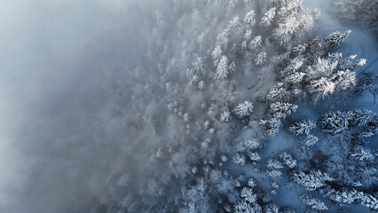 winter mountain landscape with snow, fog and cloud covered trees and skies