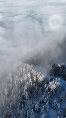 winter mountain landscape with snow, fog and cloud covered trees and skies