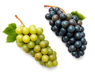 Fresh Green and Black Grapes | Two Bunches of Juicy Fruit
