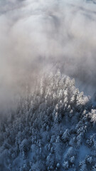 winter mountain landscape with snow, fog and cloud covered trees and skies