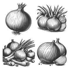 onions, scallions, and garlic bulbs Set collection bundle sketch engraving generative ai vector illustration. Scratch board imitation. Black and white image.