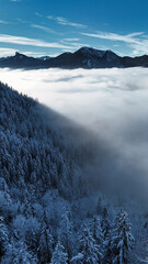 winter mountain landscape with snow, fog and cloud covered trees and skies