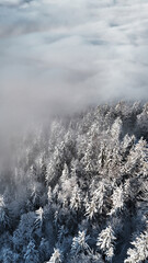 winter mountain landscape with snow, fog and cloud covered trees and skies