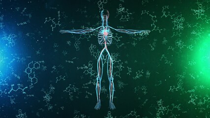 Human Anatomy Skeleton with Chemical Formulas on Blue and Green Gradient Background Video - Powered by Adobe