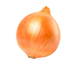 onion isolated on transparent png background