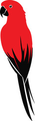 Red Parrot Vector Illustration Isolated on White Background.