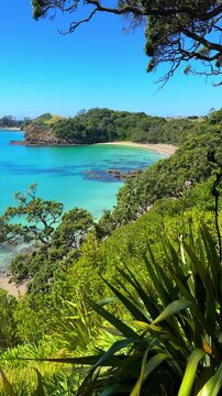 Northland, New Zealand scenery. Beautiful Tauwhara Bay near Whananaki. Secluded east coast beach only accessible by boat or via private land. Otamure Bay in distance. Vertical video.