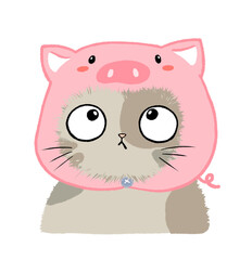 Cute cat wearing pig pink woolen hat pattern