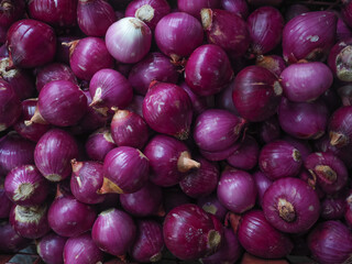 Fresh vegetables sold wholesale at cheap prices in the market