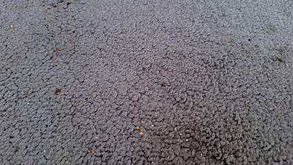 High resolution macro image of a sandy asphalt pavement, showing the rough surface and natural granular structure.