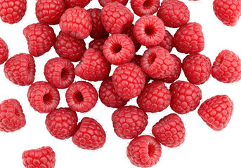 Isolated Pile of Fresh Red Raspberries