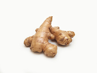 Fresh ginger rhizome or ginger root isolated on white background
