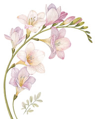 Obraz premium Abstract floral background with pink spring flower blossoms and delicate leaf design