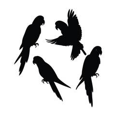 Black silhouettes of parrots on a white background. 