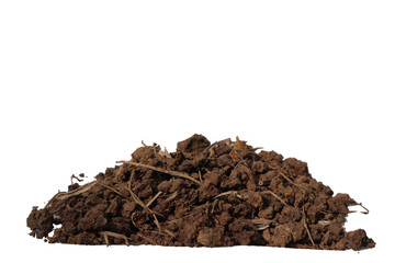 A brown heap of dirt is flecked with straw set against a stark white background