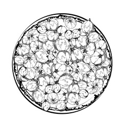 Currant gooseberry on ceramic dish, hand drawn in vector ink, ripe picked garden berry harvest, casseille jostaberry. Isolated illustration. Food blogs, cookbook, dessert menu, farmers market grocery