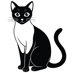 siamese cat vector