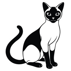 siamese cat vector