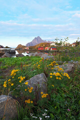 ノルウェイのロフォーテン朝の風景縦