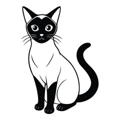 Obraz premium siamese cat vector