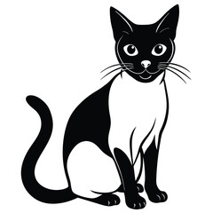 siamese cat vector