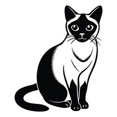 siamese cat vector
