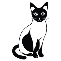 siamese cat vector