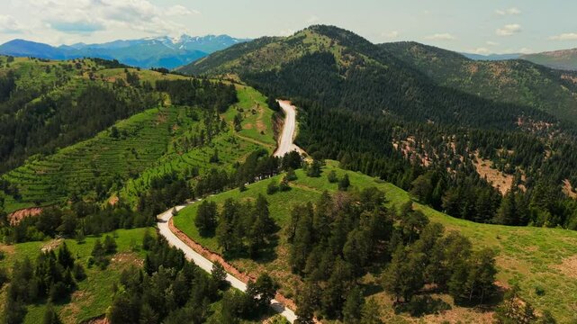 Couple is riding their bicycles through the heart of trees