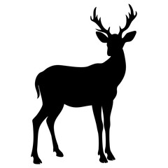 Fototapeta premium A deer standing full black silhouette vector illustration design