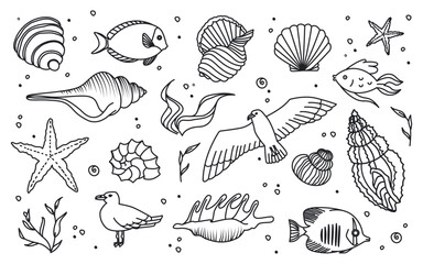 Marine life doodles collection with seagull birds, different seashells, seaweeds ecosystem © Mykola Syvak