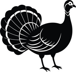 Detailed illustration of a thanksgiving turkey
