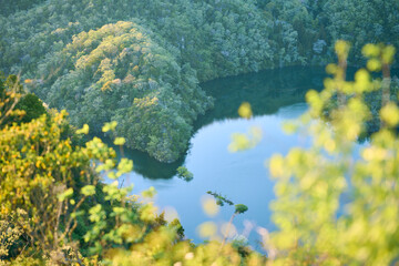 大岩岳の山頂から見える湖