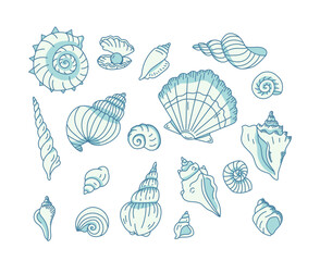 Nautical shells collection, sea nature or aquarium exotic decorative cockleshell design elements