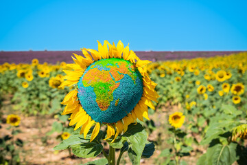 National Sunflower Day Concept: Sunflower with World Map design.