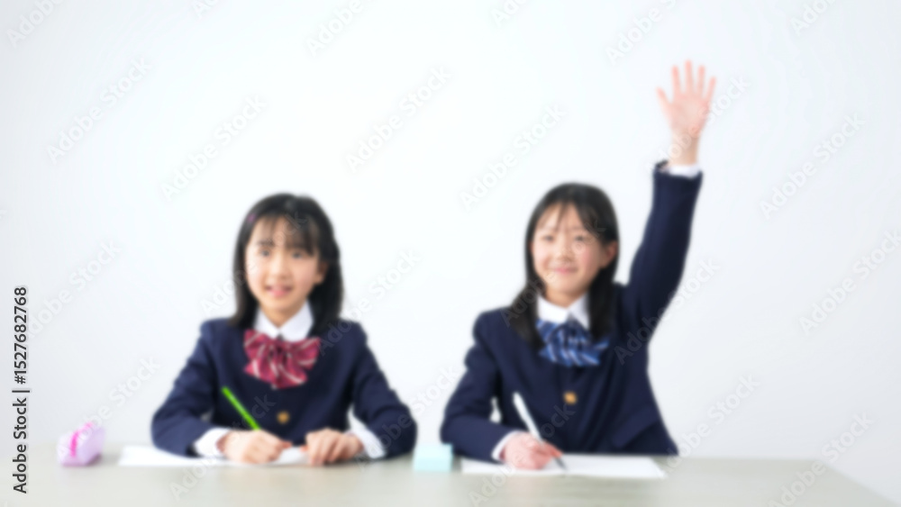 Aufkleber 教室で授業を受ける女子小学生のグループ　イメージ映像向けぼかし画像