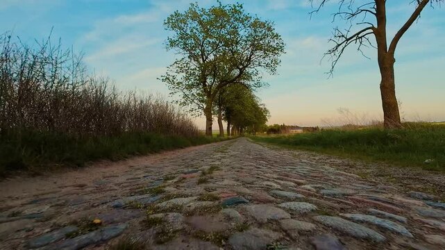 POV car driving on cobblestone road at sunset along countryside path. Vehicle moving POV style over rural stone trail. Car perspective, cruising down bumpy cobbled lane in evening light