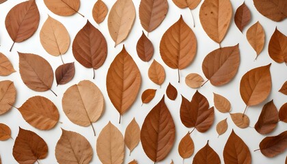 Fototapeta premium Dry autumn leaves scattered on a white backdrop, perfect for seasonal designs.