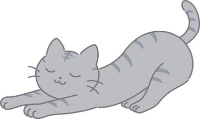伸びる猫
