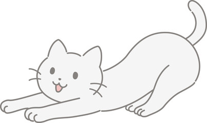 伸びる猫
