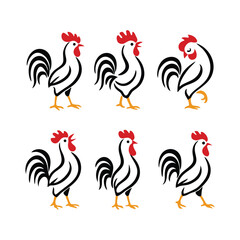 colorful rooster hen chicken fowl animal