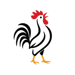 colorful rooster hen chicken fowl animal