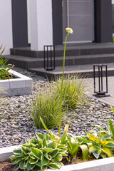 House entrance with slate bed in which grasses and plants are