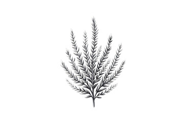 Fototapeta premium Elegant botanical illustration of a silver leafed plant on a bold black background
